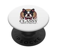 Dapper Boston Terrier, Classy Since Forever PopSockets Adhesive PopGrip