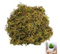 DAQUN 100g Artificial Decorative Moss, Faux Spanish Moss for Indoor Planters, Craft Projects, Diorama and Miniature Garden Scenes