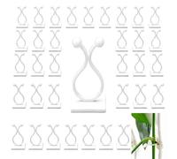 DAQUN 50 Pcs Plant Climbing Wall Clips, Self-Adhesive Clear Hooks for Organizing Vines on Walls, Tiles, or Glass
