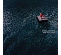 Dar Williams I'll Meet You Here (Vinyl) (US IMPORT)