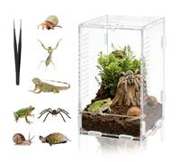 DARANYI Acrylic Jumping Spider Enclosure 20x12x11cm Insect Terrarium, Tarantula Enclosure for Spiders,Stick Insect, Mantises, Snails, Insects, Scorpions