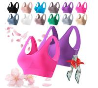 DARBCGH Mesh Hollow Breathable Sports Bra Plus Size Yoga Running Sports Underwear for Women(2pcs-c,4X-Large)