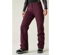 Dare 2B 'ice' Ski Pants In Purple Purple 10