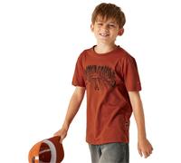 Dare 2b Kids Trailblazer III Short Sleeved Cotton T-Shirt