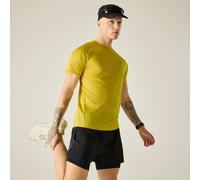 Yellow male XXXL Dare 2b Men's Accelerate Fitness T-Shirt Yellow, Size: XXXL