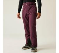 Dare2b Achieve Ii Pants Purple L / Regular Men