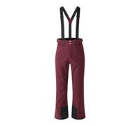 Dare 2B Mens Achieve II Ski Trousers RG5560