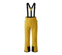 Dare 2B Mens Achieve II Ski Trousers RG5560
