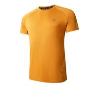 Dare 2b Men's Persist Running T-Shirt Lightweight Quick Dry Gym Top