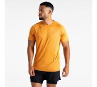 Dare 2b Men's Lightweight Persist T-Shirt Buckskin Marl, Size: XS