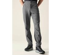 Dare2b Torrek Lite Pants Grey 36 / Regular Man