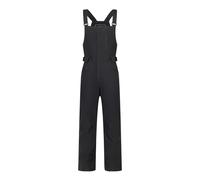 Dare 2B Mens Twin Tip Bibbed Ski Trousers RG13634