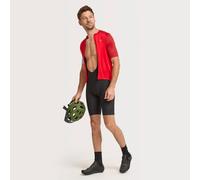 Dare 2b Mens Ultra Cycling Bib Shorts L