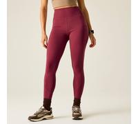 Dare 2B Power Sculpt Fit Leggings In Burgundy Burgundy 14