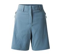 Dare 2b Torrek Mountain Shorts Element Grey