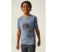 Dare 2b Trailblazer III Short Sleeved Graphic T-Shirt in Blue | Size: 15-16 Years Dare 2b Blue 15-16 Years