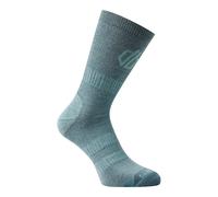 Dare 2B Unisex Adult Merino Wool Walking Socks (Aquifer/Element Grey) - Medium Blue - Size UK 9-12