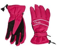 Dare 2b Women's Hang on Gloves - Electric Pink, Small
