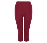 Dare 2B Womens/Ladies In The Zone II Panel 3/4 Leggings (Fig) - Red - Size X-Small
