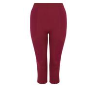 Dare 2B Womens/Ladies In The Zone II Panel 3/4 Leggings RG11238