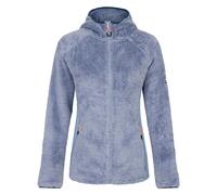 Dare 2b Womens Torrek Mountain Pro Fleece Jacket (Rainwashed Blue) Rainwashed Blue
