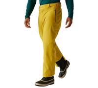 Dare2b Achieve II Mens Ski Pants Regular Yellow