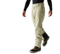 Dare2b Achieve Ii Pants Beige 6XL Men