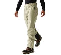 Dare2b Achieve II Ski Pant: Abbeystone: Regular Leg: XL Size: XL, Leg