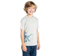 Dare2b Amuse Ii Short Sleeve T-shirt