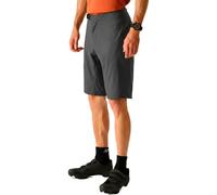 Dare2b Descent Shorts Grey 36 Men