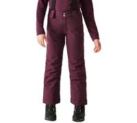 Dare2b Kids Outmove II Waterproof Insulated Ski Trousers