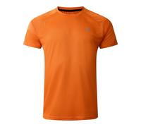 Dare2B Mens Accelerate Tee T-Shirts/Polos/Vests Yoga Shirt, Spicy Route, 3XL EU