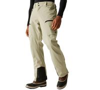 Dare2b Mens Baseplate II Insulated Waterproof Ski Pants