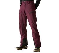 Dare2b Mens Baseplate II Insulated Waterproof Ski Pants