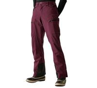 Dare2b Mens Baseplate II Insulated Waterproof Ski Pants