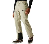 Dare2b Mens Baseplate II Insulated Waterproof Ski Pants
