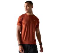 Dare2b Mens Persist Tee T-Shirt, Arabian Spice, XXL EU