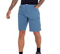 Dare2b Tuned In Ii Shorts Blue 32 Men