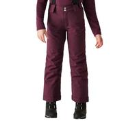 Dare 2b Girls Skiing Outmove Ii Pants, Purple, Size 9-10 Years Purple