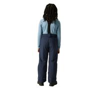 Dare2b Outmove Iii Insulated Pants