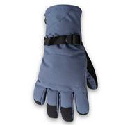 Dare2b Pinnacle Gloves Blue L Men