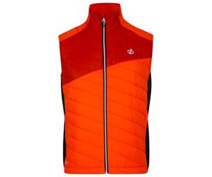 DARE2B - Touring Puffins Orange Rooibos Tea - S - Down vest