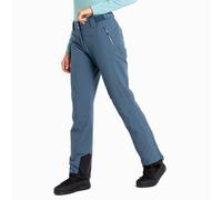 Dare2b Womens Effused II Ski Pants: Orion Grey: 10, Regular Leg Size: