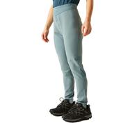 Dare2b Womens Torrek Walking Leggings: Element Grey: 16 Size: 16, Colo