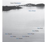 Darek Olez & Brad Mehldau - Like A Dream