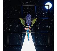 DARIAN DONOVAN THOMAS - A ROOM WITH MANY DOORS : NIGHT [VINYL]