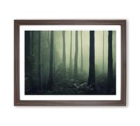 Daring Forest Framed Print | A4 Walnut Framed Wall Art | Ready to Hang | Modern Landscape Picture | Living Room Bedroom Lounge Office