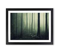 Daring Forest H1022 Framed Print for Living Room Bedroom Home Office Décor, Wall Art Picture Ready to Hang, Black A3 Frame (46 x 34 cm)