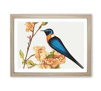 Daring Swallow Bird Framed Print | A2 Oak Framed Wall Art | Ready to Hang | Modern Nature Picture | Living Room Bedroom Lounge Office