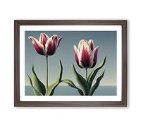 Daring Tulip Flowers WHT Framed Print | A3 Walnut Framed Wall Art | Ready to Hang | Modern Floral Picture | Living Room Bedroom Lounge Office